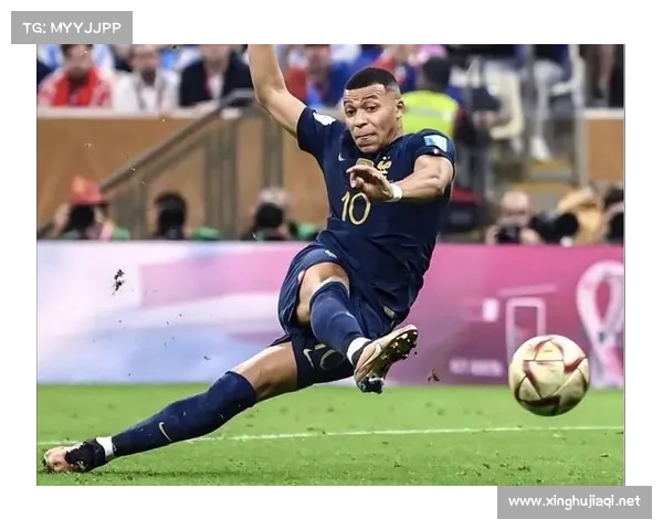 赛事世界杯、世界杯比赛2022