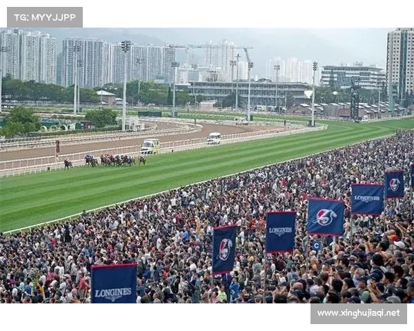 香港赛马会 赛事_香港赛马会赛事资料(本地)排位表